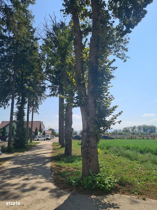 Teren intravilan,ingradit cu utilitati.