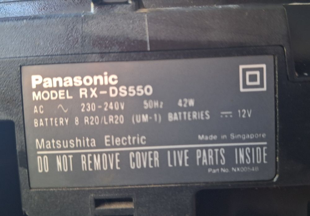 Panasonic  RX DS550