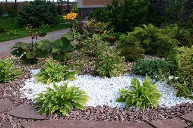 Мраморная галька премиум