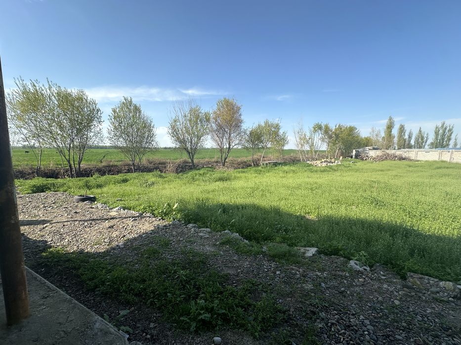 Ферма чорвага кизиканларга зор жой