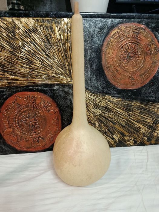 Декоративные тыквы