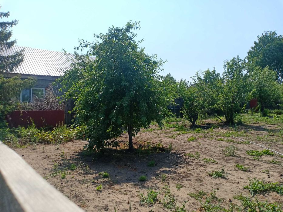 Продам дачу в СО "Автомобилист"