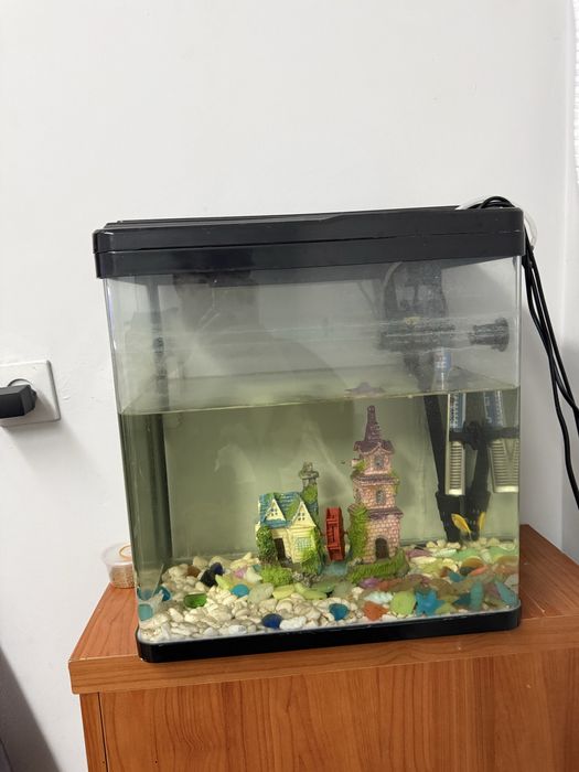 Akvarium sotiladi filtr dekor есть ideal uy va ofes uchun срочно