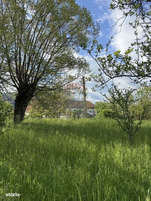 Teren de vânzare in Voinesti / Leresti înconjurat de natura
