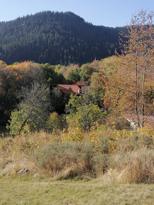 Продава се Парцел в Смолян, Езерово - 1080 кв.м за 31 €/кв.м - Снимка #19