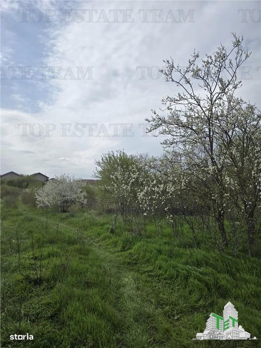 TEREN INTRAVILAN la 20 minute de Bucuresti