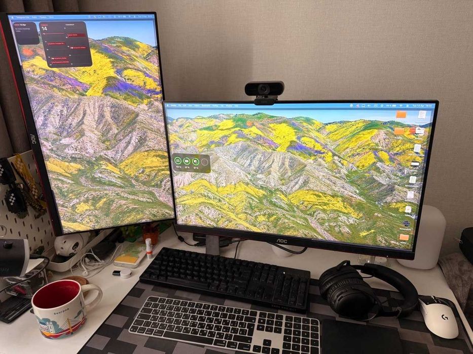 Монитор AOC 24G2SAE/BK 165Hz