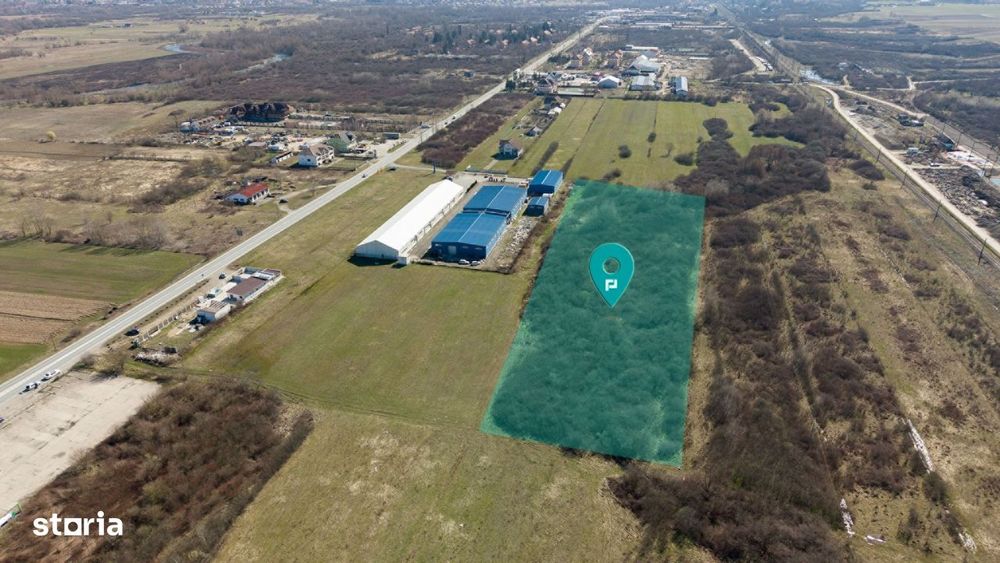 Teren extravilan de 7.000 mp lângă Păltiniș