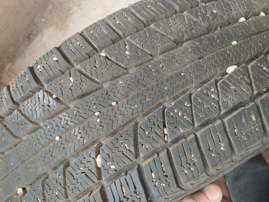 Зимние шины Triangle  сто девяносто пять  - шестдесять пятьR