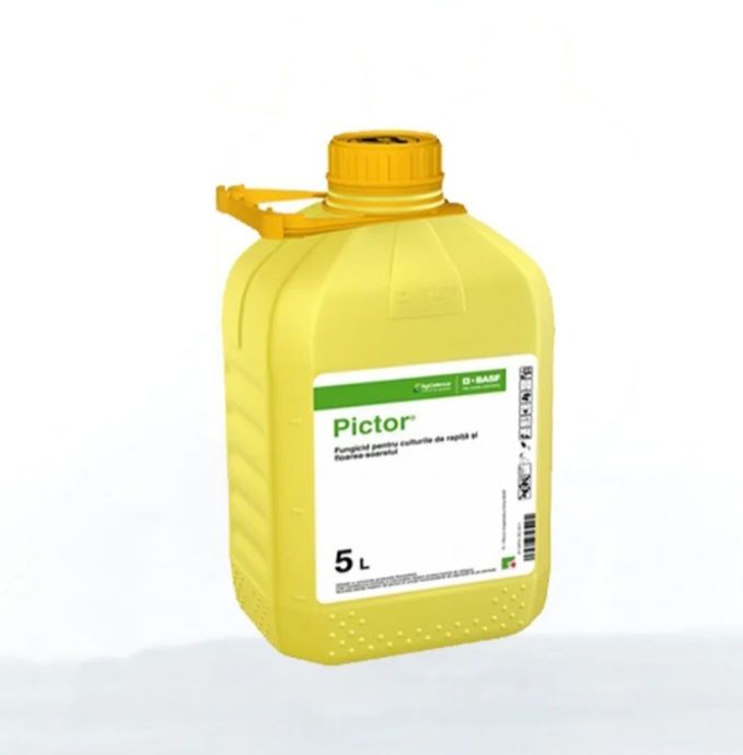 Fungicid Pictor 5Lt