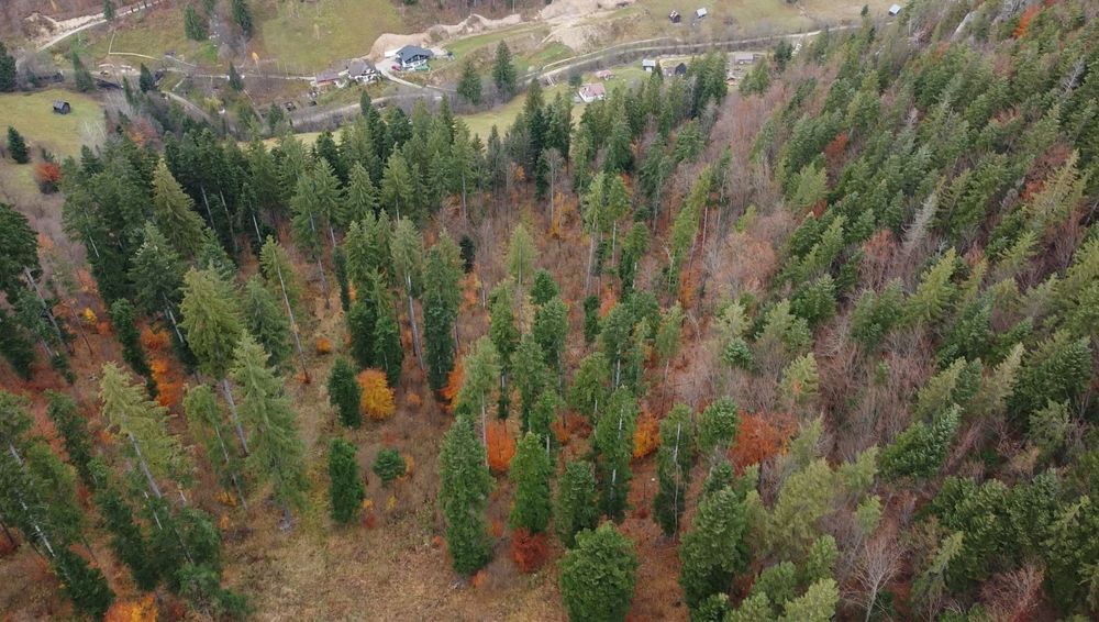 Vand cabana si teren 8ha