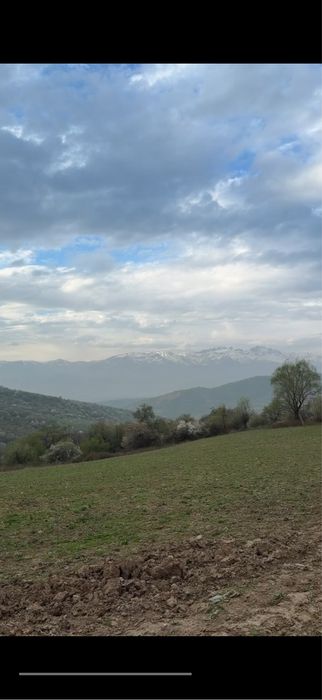 Продам землю 120 сотых