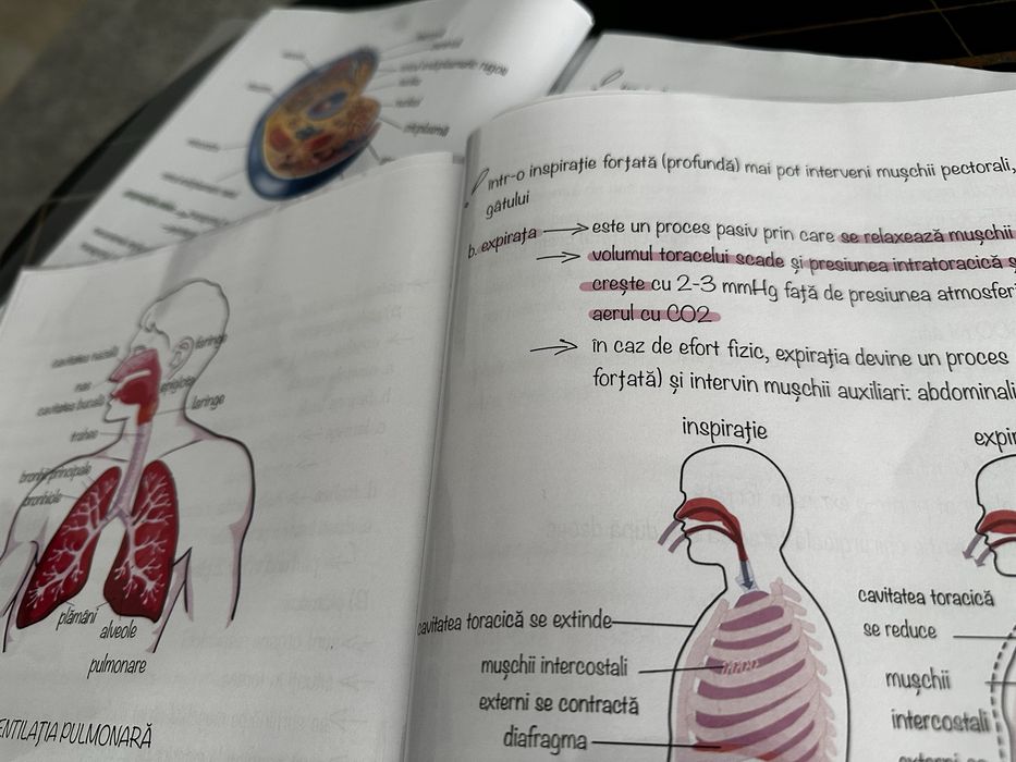 Meditatii biologie