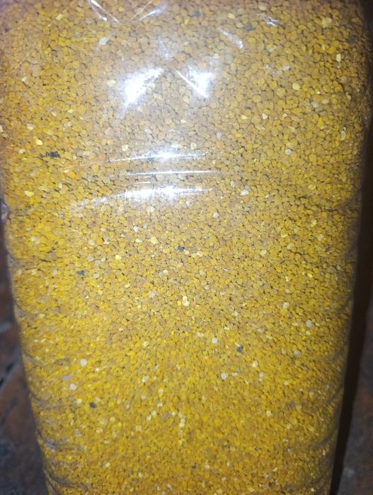 Asalari gulchangi sotiladi