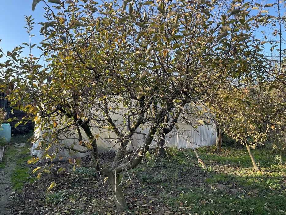 Casă 5 camere + teren 1475 mp + utilități – Pericei