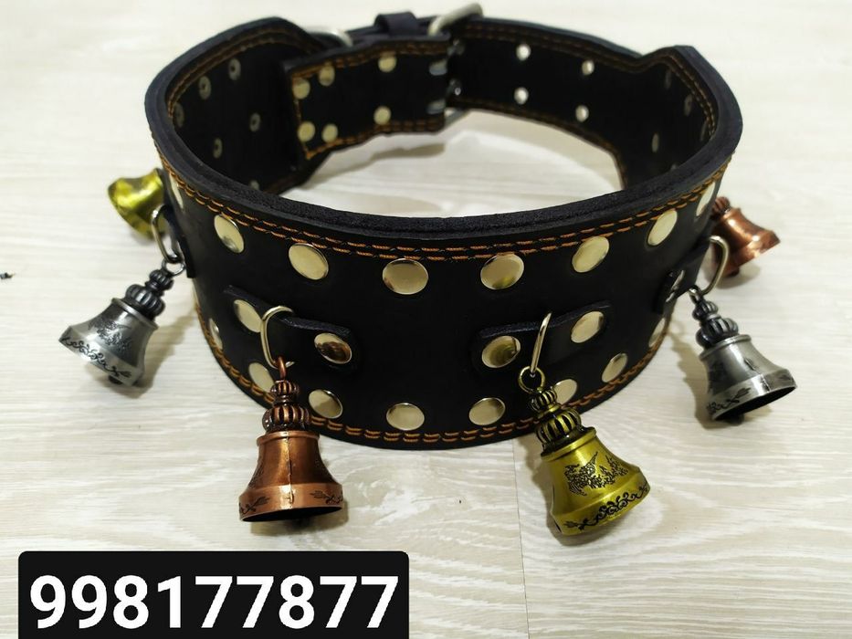 Ашейник шилейка павадок