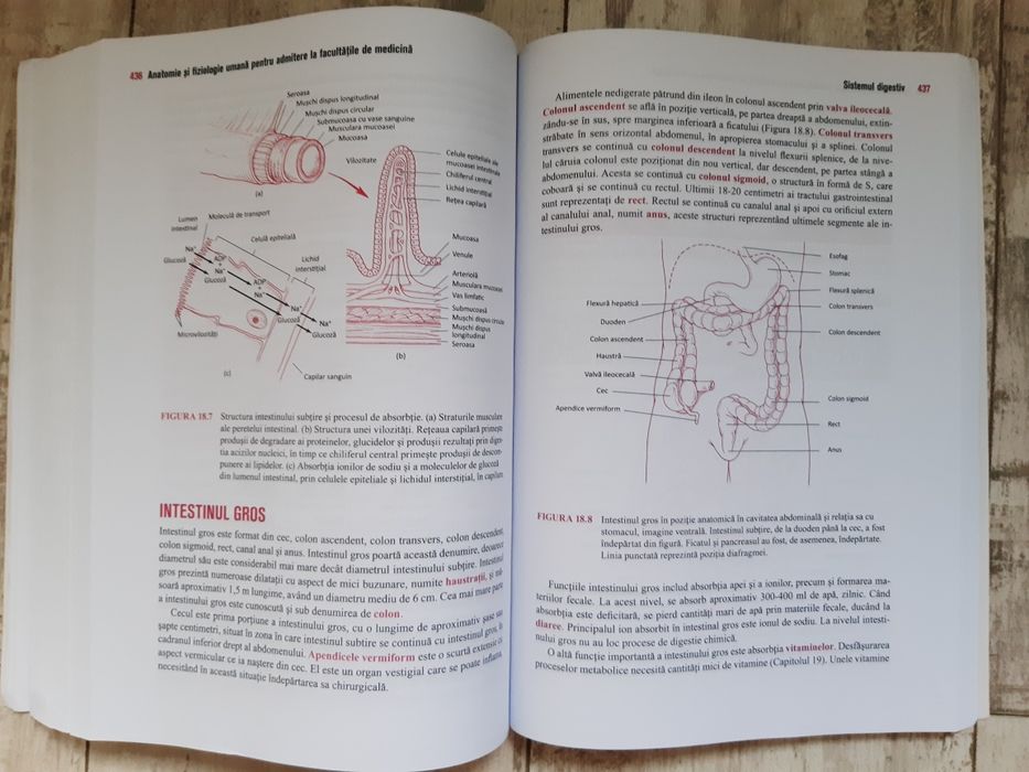 BARRON'S Anatomie și Fiziologie Umană