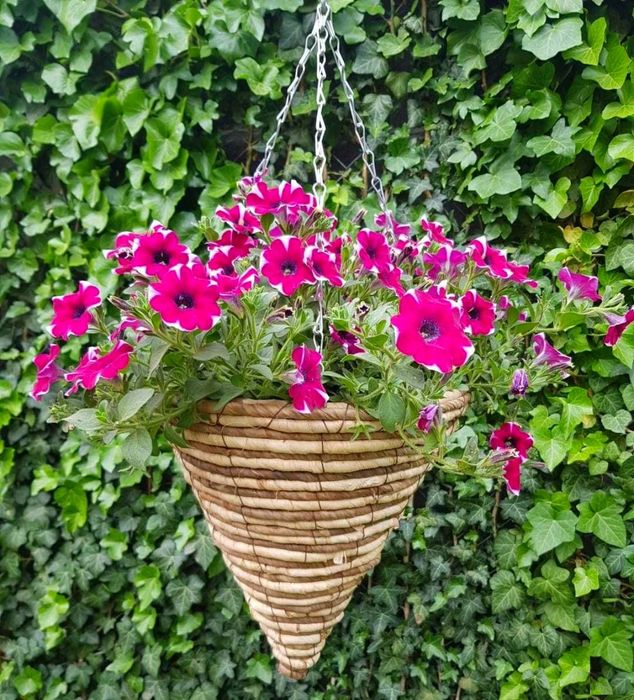 Ghivece suspendate cu lant si carlig din metal zincat NOI - 40 Lei