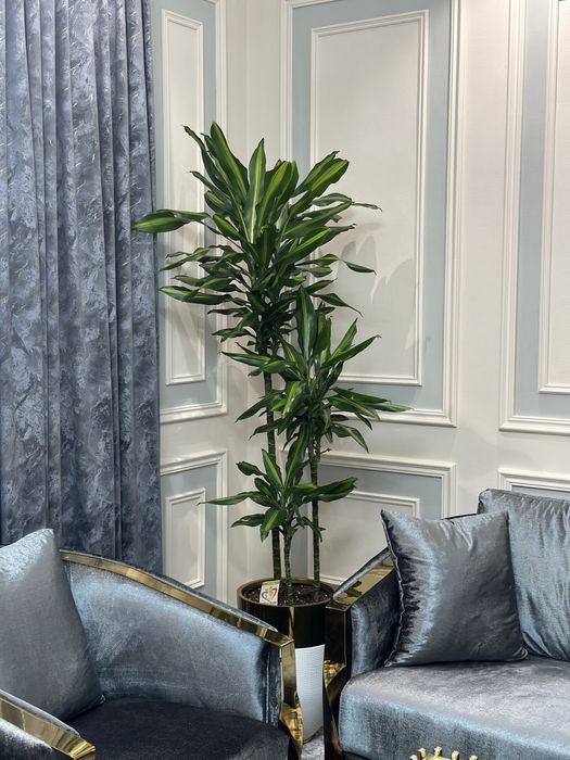 Гуллар 300.000 сўмдан бошланади — шошилинг