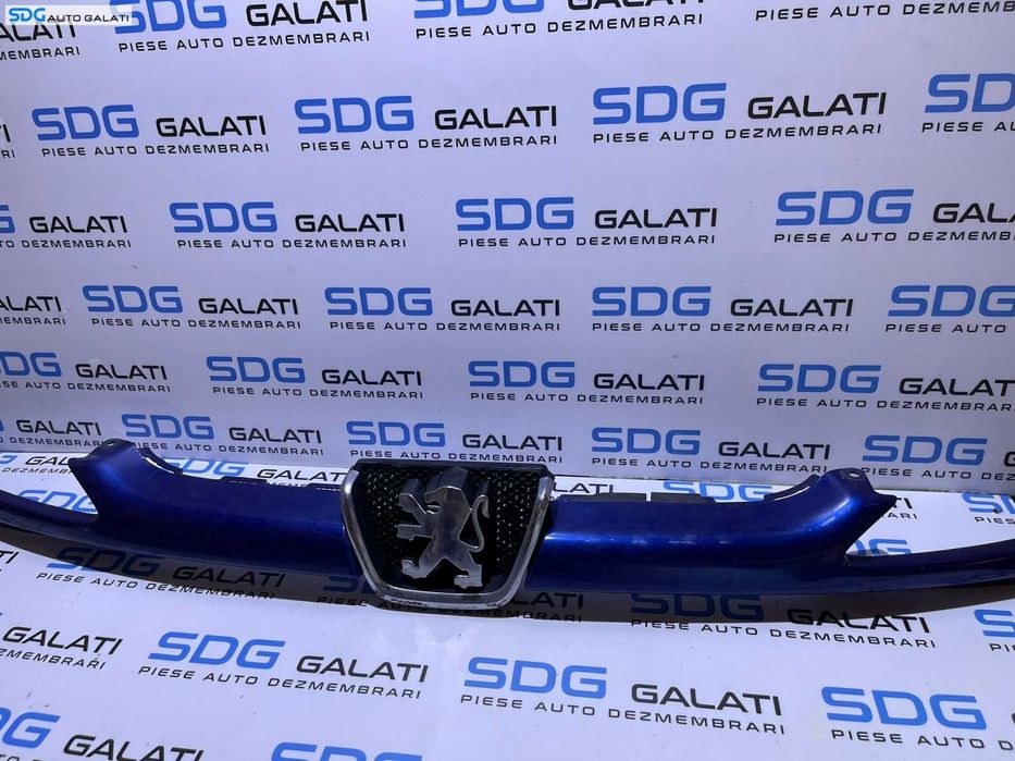 Grila Superioara Centrala cu Sigla Emblema Spoiler Bara Fata Peugeot 206 1998 - 2012 Cod 9628691277