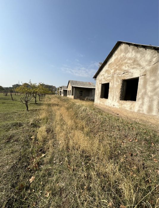 Срочно продаётся 10 гектаров земли в Ахангаране