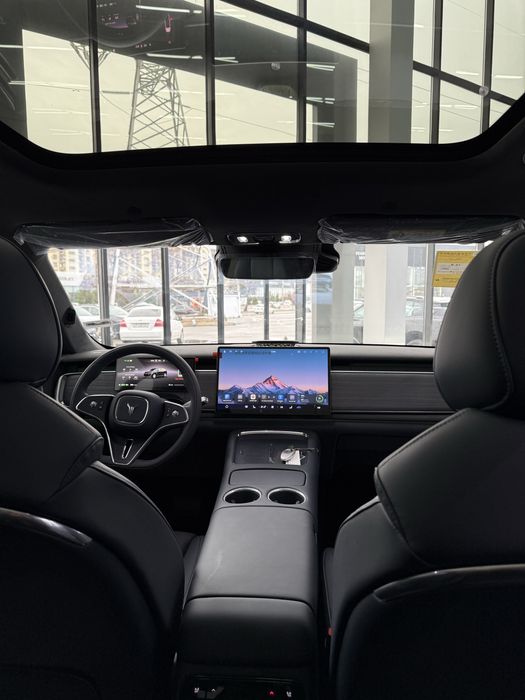 Voyah courage full electr 650KM