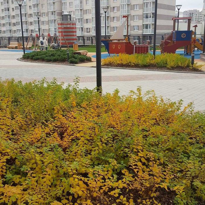 Озеленение, газон и автополив