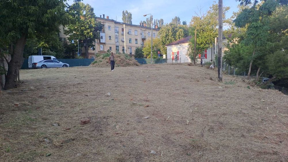 copaci si gradina , gazon si iarba nedorita