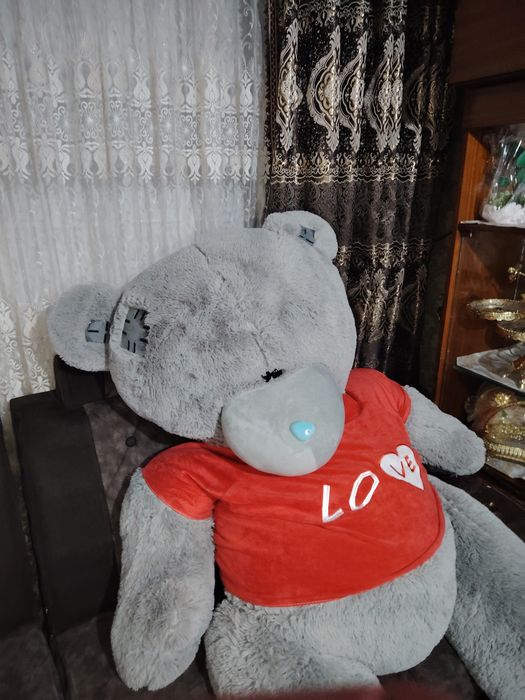 Juda katta ayiq sifatiga garantiya