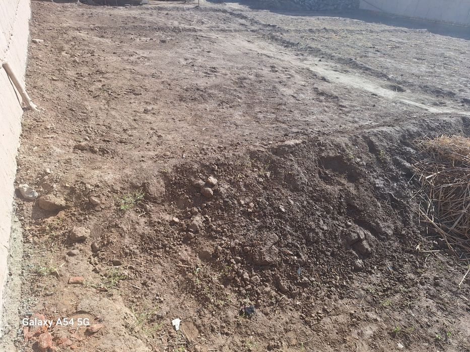 Joy plon sotlad manzl xiyva yo'l versal to'yxona orti