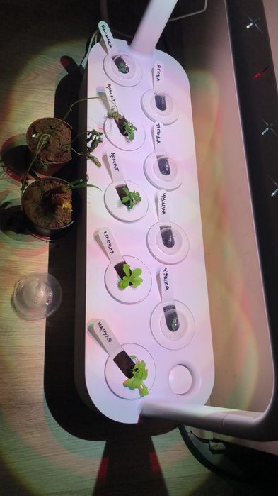 Click and grow smart garden