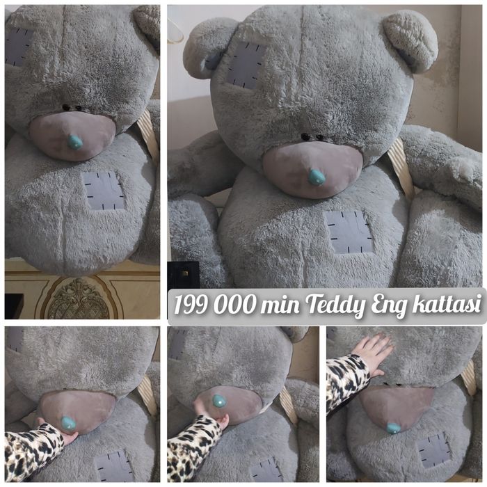 Teddy Ayiq Eng kattasi