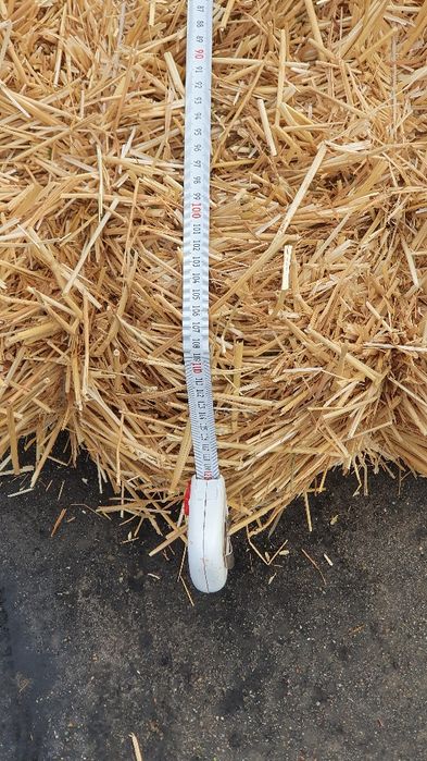 Press somon sotiladi