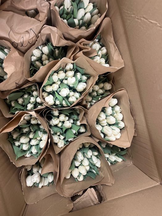 Тюльпаны оптом Астана