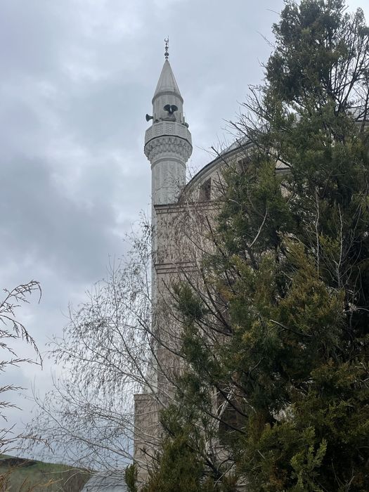 Мобилогроф, сьемка и монтаж видео