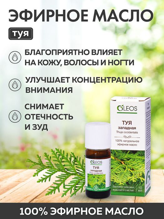 Масло Туи эфирное 10мл