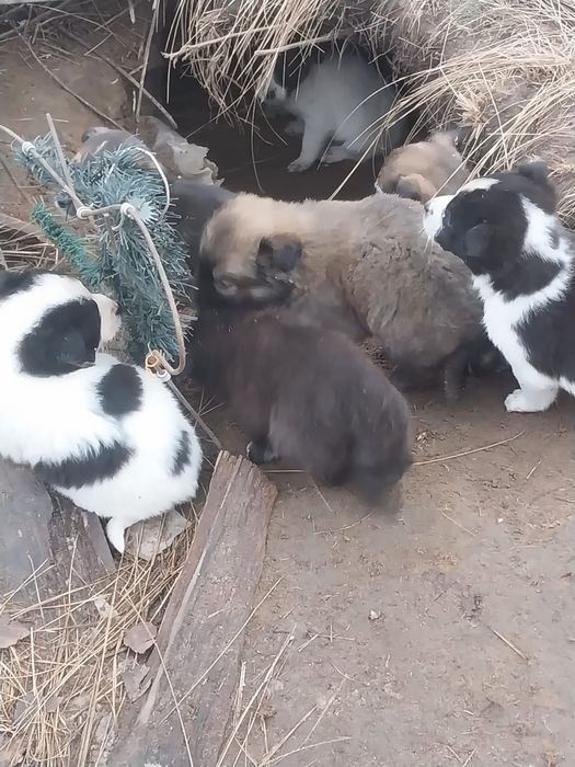 SOS! Малыши замерзают