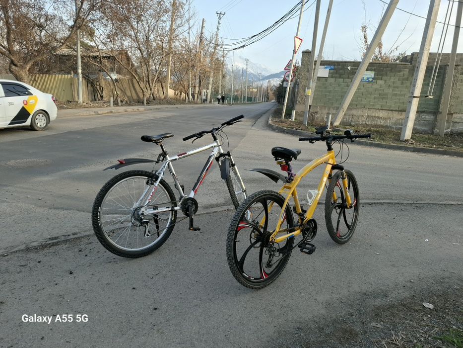 Велосепид жагдайы оте жаксы