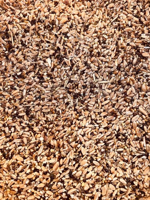 Отруби Овес Зерноотходы Отходы корм