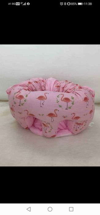 Бебешки барбарони