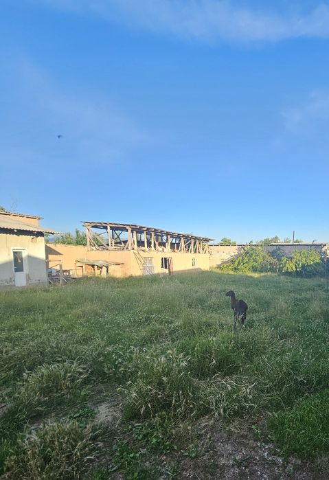 Кибрай тумани Окковок(2-отделения) махалласида 8 сотих ер участкаси .