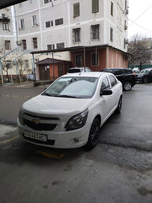 Cobalt oq midnight 2025