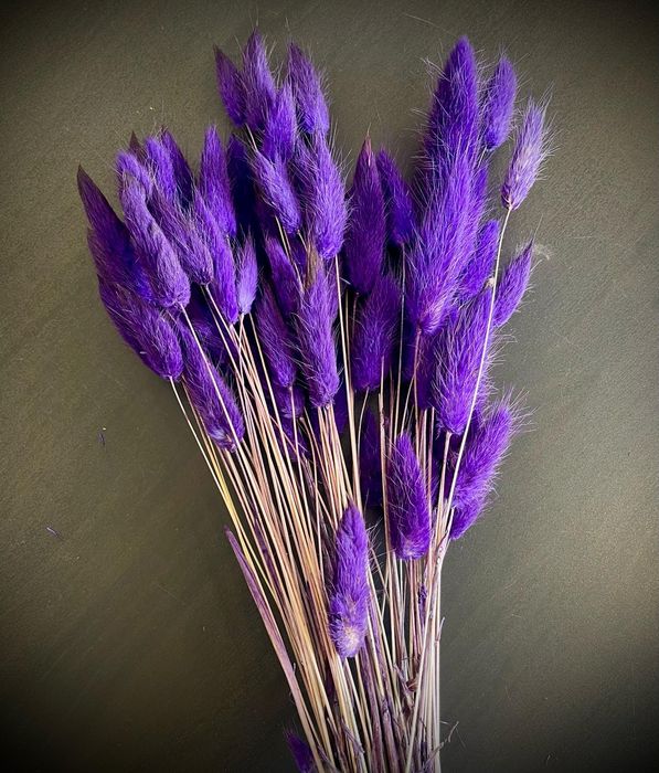 Сухи цветя за аранжиране