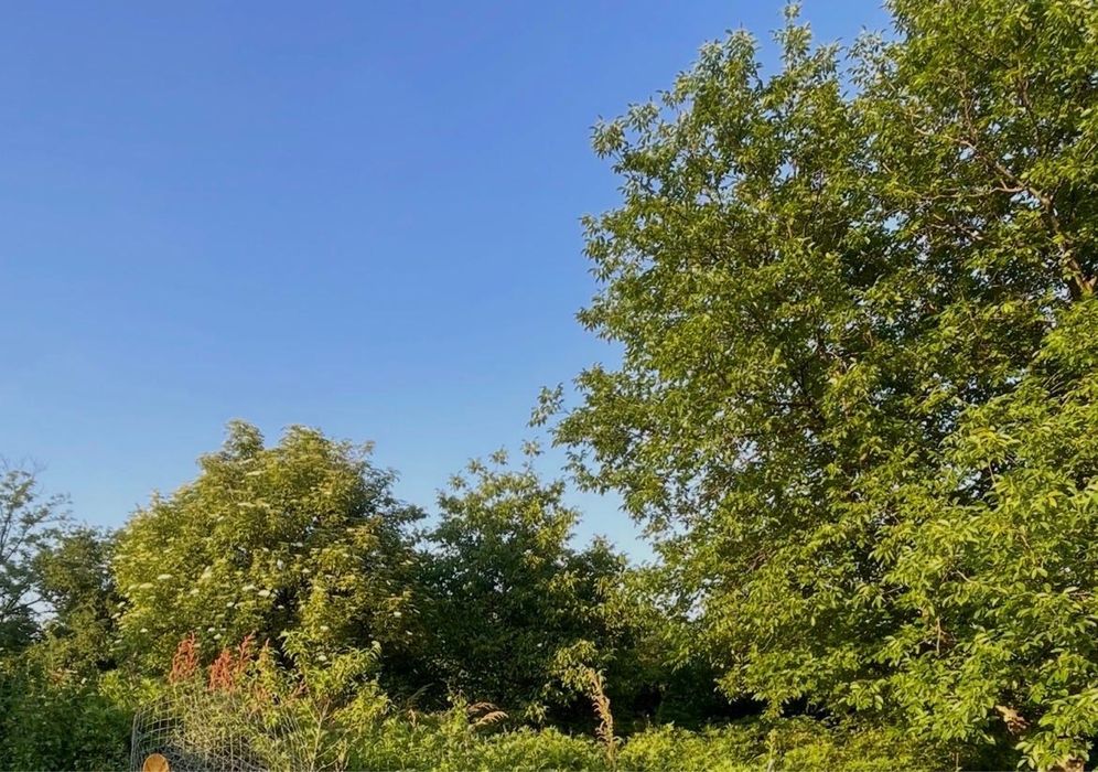Teren intravilan Comuna Frumusani