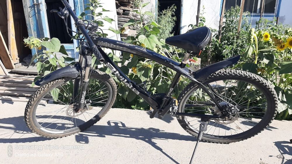 Продам 2 велика срочно