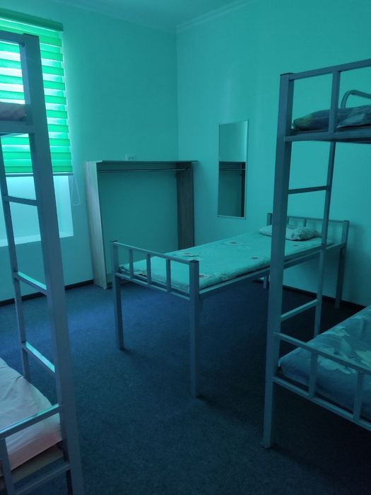 Faqat qizlaga kvartira