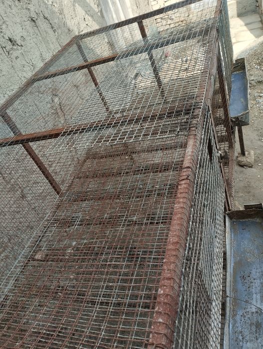 Товук катак  сотилади