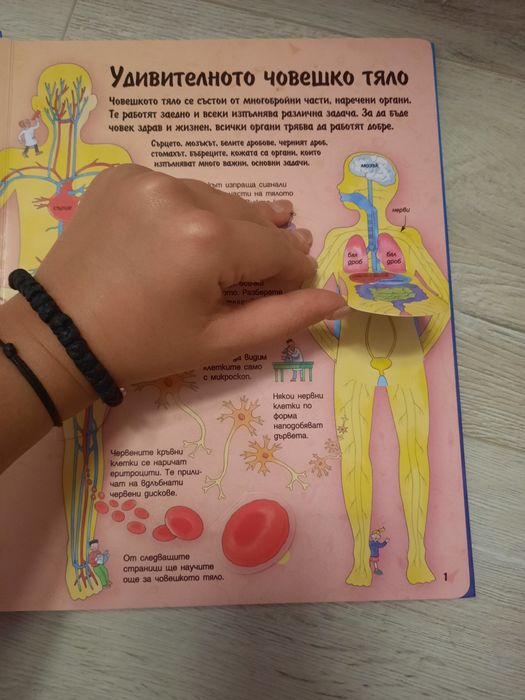 Интерактивна книжка " Човешкото тяло "