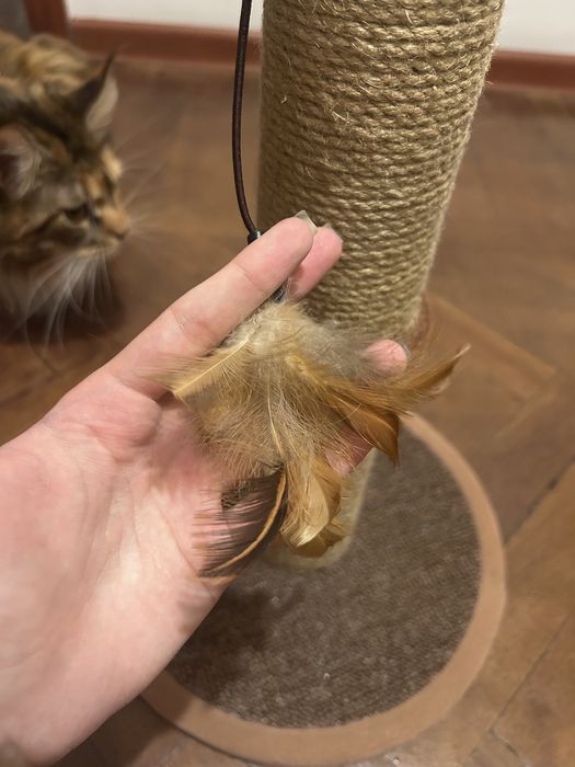 когтеточка для кошки
