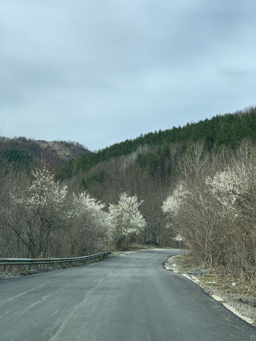 Продава се Парцел в с. Ямна, Област София-област - 828 кв.м за 14 €/кв.м - Снимка #7